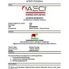 AECI | Trading statement